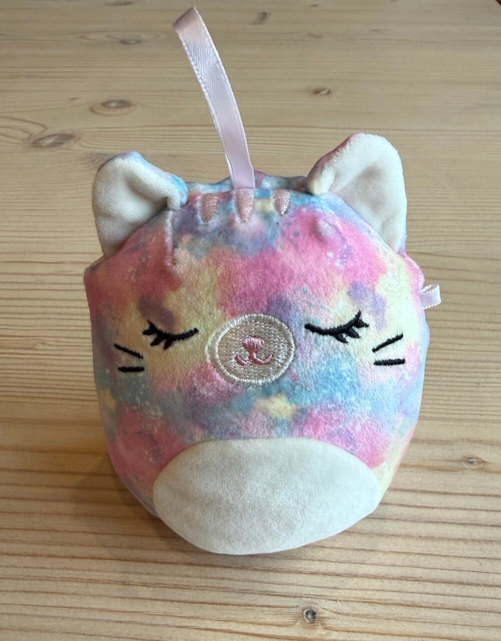 Squishmallows Tie Dye Cat 5" Sleepy Eye Pastel Rainbow Plush Kellytoy 2023